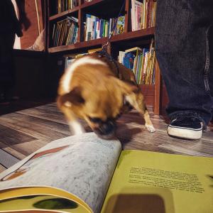 "Para guardar os livros, Cosimo ia construindo uma espcie de biblioteca suspensa, o mais possvel resguardada da chuva e dos roedores. Mas mudava continuamente os livros de lugar, segundo os estudos e os gostos do momento, porque ele considerava os li